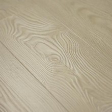 Дуб Европейский